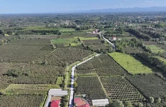 Terme’de Yüzyıllık Hasret Bitti: Bafracalı Mahalle Asfaltla Tanıştı