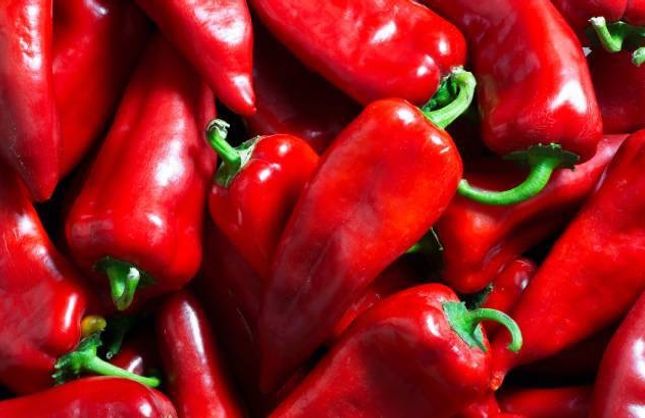 Bafra Ovası’nda Sessiz Bir Hareketlilik: Tarlalarda Ne Oluyor?