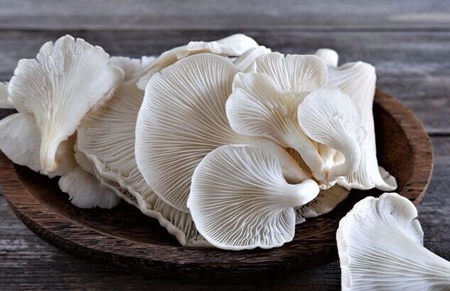 Samsun’da Sessizce Büyüyen Üretim - Çarşamba’daki O Şey Herkesi Şaşırttı