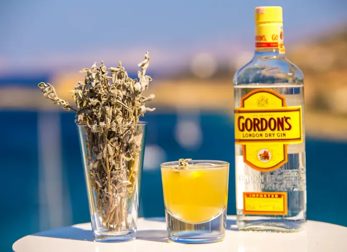Gordon's Gin Fiyatları: Güncel Liste