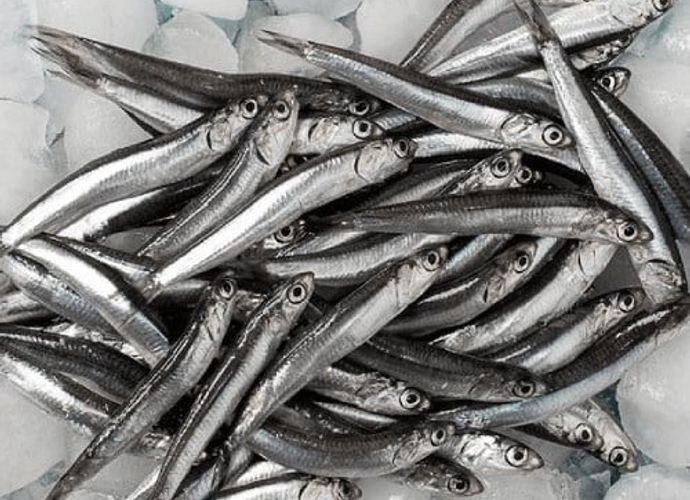 Balık Yemenin Faydaları Nelerdir? İşte Uzmanlardan Önemli Açıklamalar