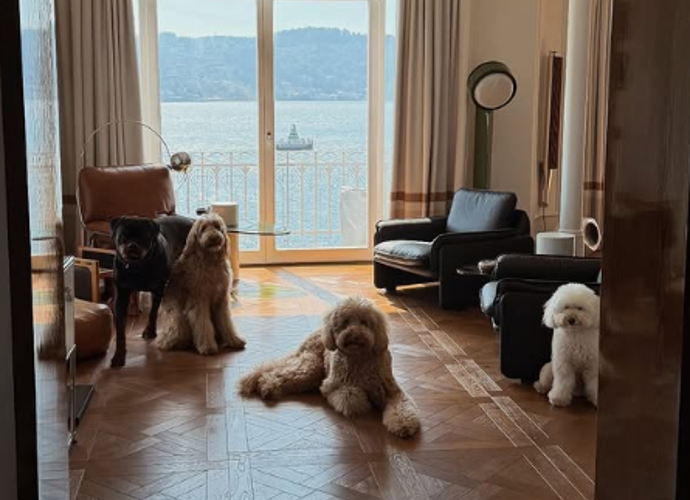 Taburcu Olan Aslı Bekiroğlu Evinde Hayvanlarıyla Çok Mutlu!