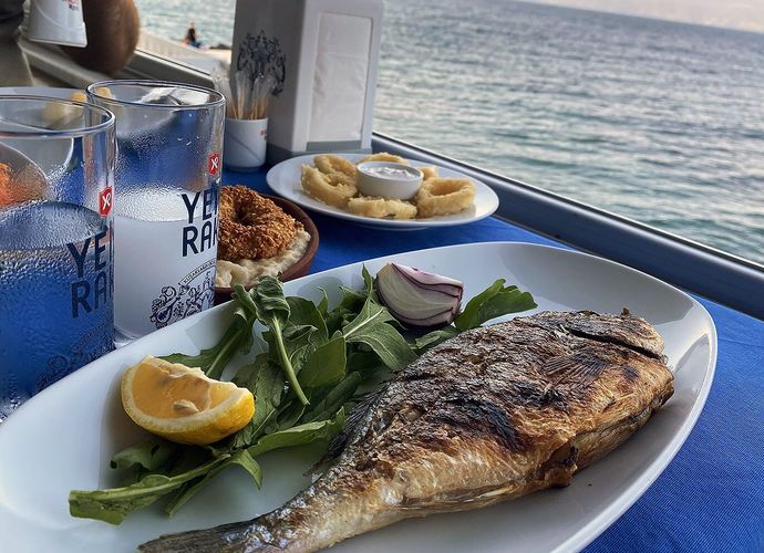 Mudanya Rakı Balık Fiyatları 2026: Mekanlar ve Güncel Liste