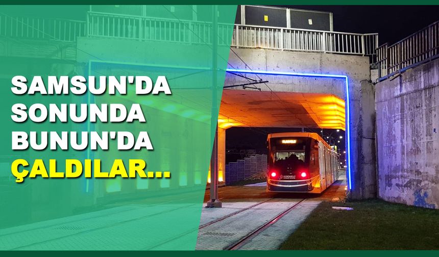Samsun'da bir garip hırsızlık vakası! Sonunda Bunu da çaldılar?
