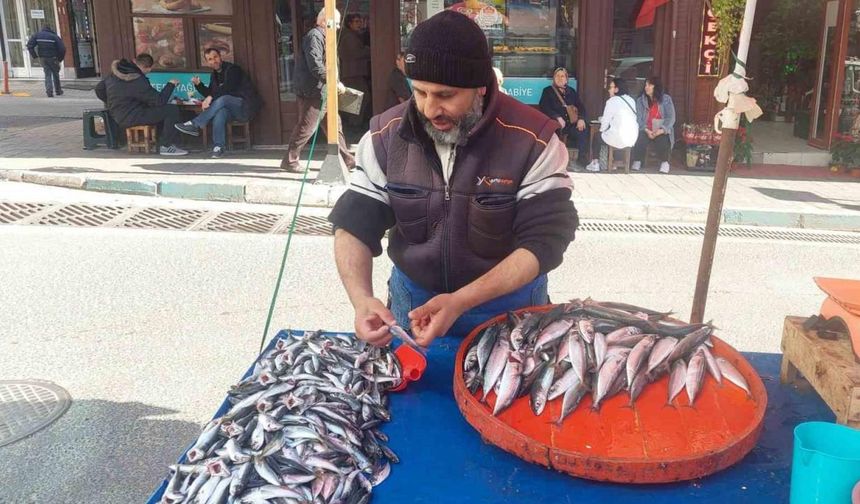 Güncel Balık Fiyatları Denizden çıkan balık azaldı, fiyatlar arttı