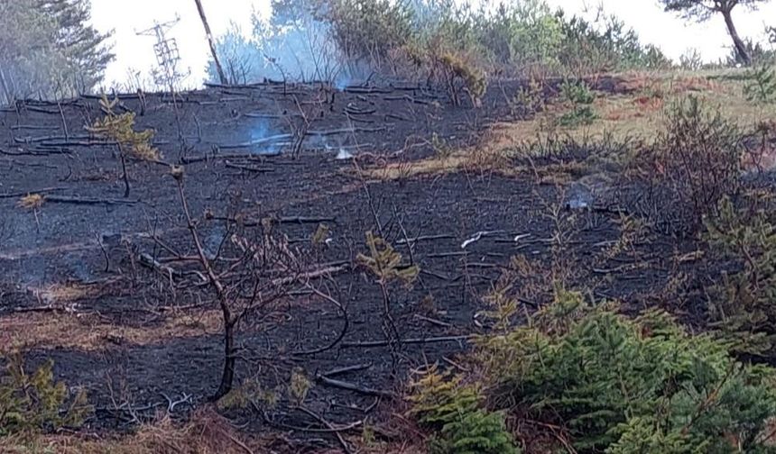 Kastamonu’da enerji nakil hattından çıkan yangın büyümeden söndürüldü
