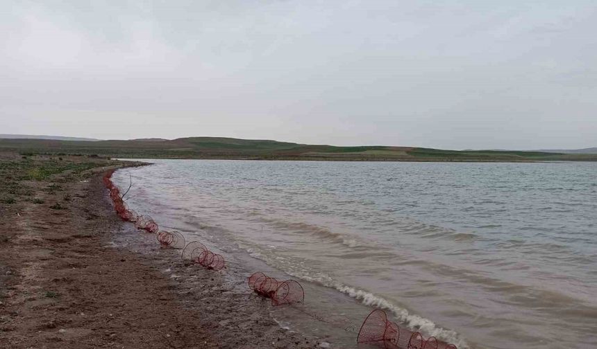 Koçhisar Barajı’na atılan 400 adet kerevit sepetine el konuldu