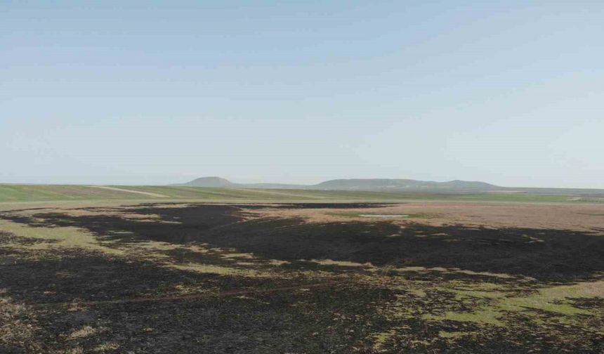 Türkiye’nin 13. Ramsar alanıydı çöle döndü