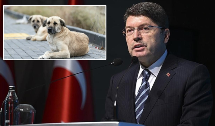 Adalet Bakanı Yılmaz Tunç: Başıboş Hayvan Sorunu Üzerine Açıklamalar