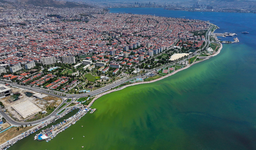 Doğanın Estetik Dansı: İzmir'de Plankton Patlamasıyla Değişen Deniz Manzarası