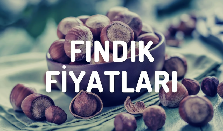 Fındık Piyasasında Son Durum: 29 Nisan  2025 Türkiye Genelinde En Güncel Fiyatlar!