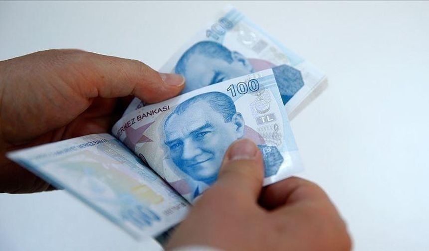 SONDAKİKA; Destek ödemeleri bugün hesaplara yatıyor! Toplam 1 milyar 35 milyon 982 bin lira