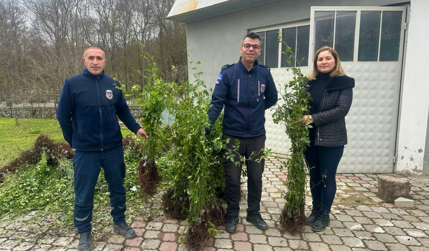 SAMSUN TARIMINDA “YEŞİL YOLDAN YEŞİL BAHÇELERE PROJESİ”