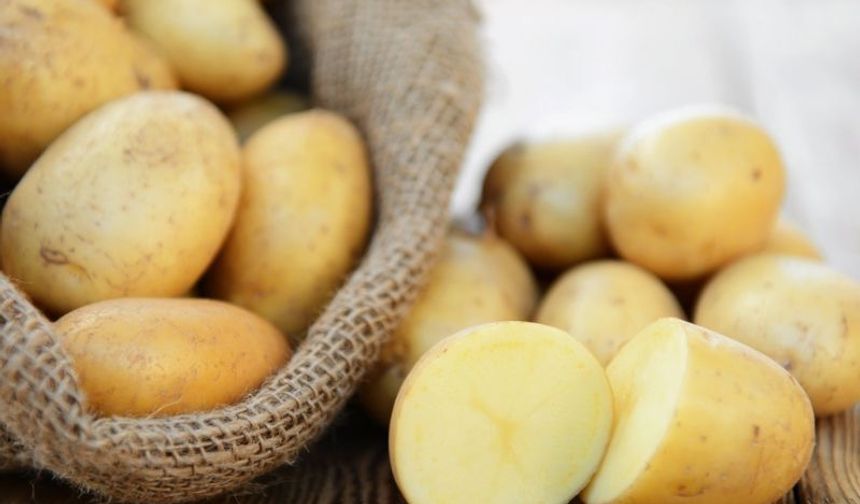 Temmuz Ayında Doğal Gaz Uçtu, Patates Ucuzladı! TÜİK Verileri Alışveriş Sepetini Altüst Etti