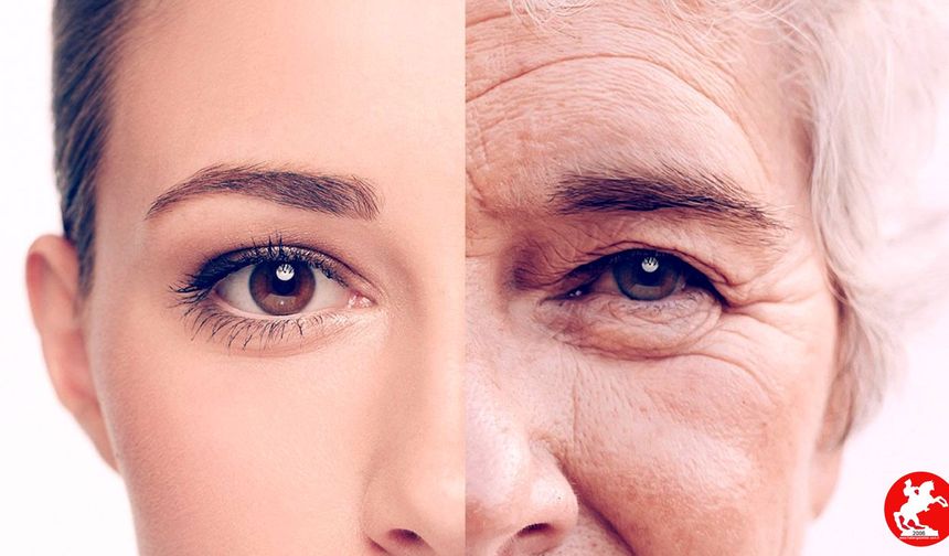 Devrim Niteliğinde Yapay Zeka! Fotoğraflarla Biyolojik Yaşınız Artık Belirlenebiliyor