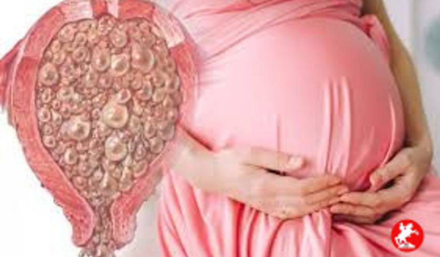 Mol Gebelik Nedir?