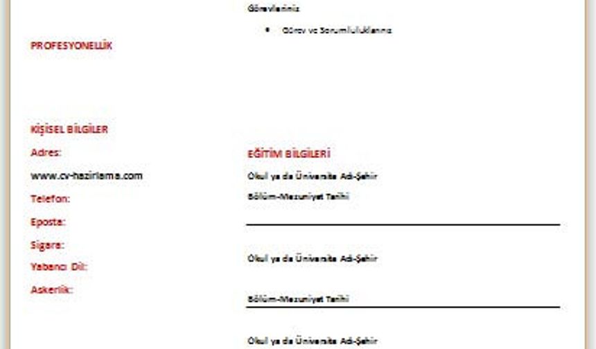 Güzel Bir CV Nasıl Hazırlanmalıdır?