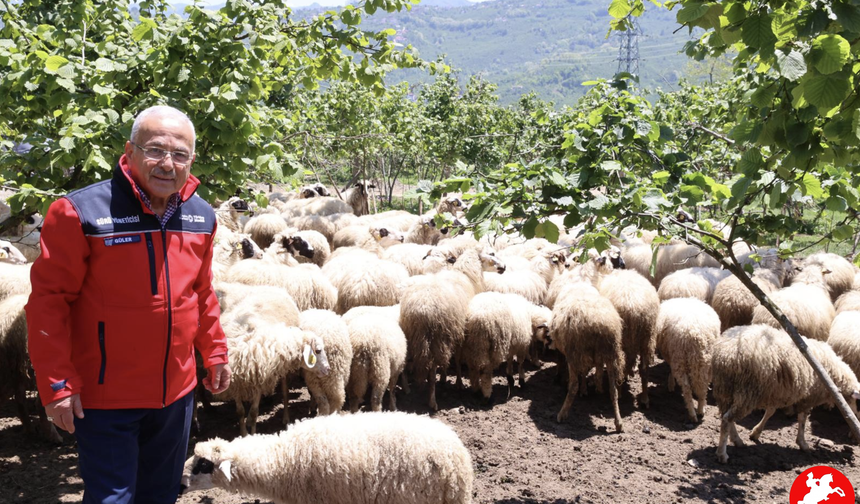 BAŞKAN GÜLER: “DAĞITIMINI YAPTIĞIMIZ HAYVANLARI KENDİMİZ YETİŞTİRİYORUZ”