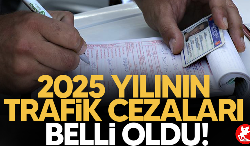 ⚖️ Ehliyete El Konuluyor, Cezalar Katlandı: İşte 2025 Trafik Kuralları ve Para Cezaları Listesi
