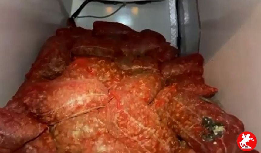 🚨 Samsun'da 2,9 Ton Kaçak Midye Ele Geçirildi: Cezalar Yağdı!