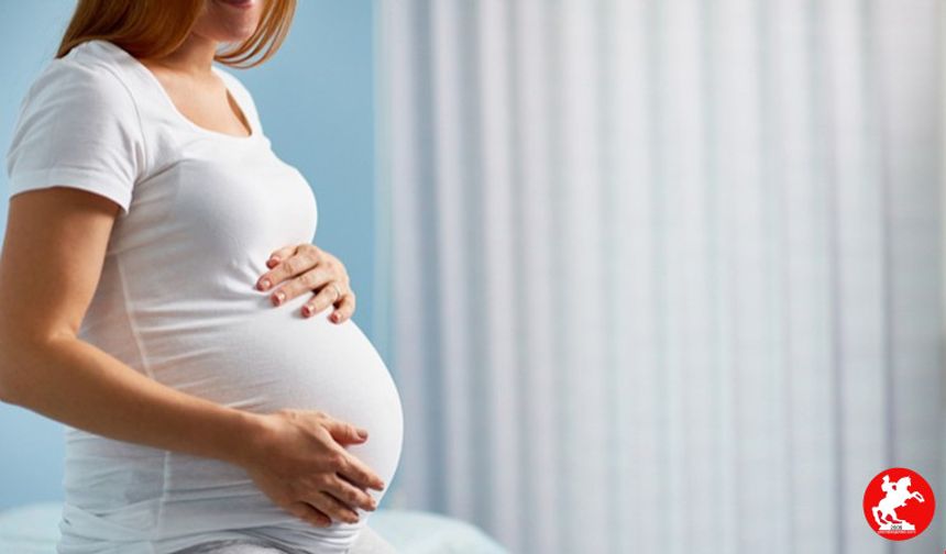 Gebelikte İkinci Üç Aylık Dönemde Neler Oluyor?