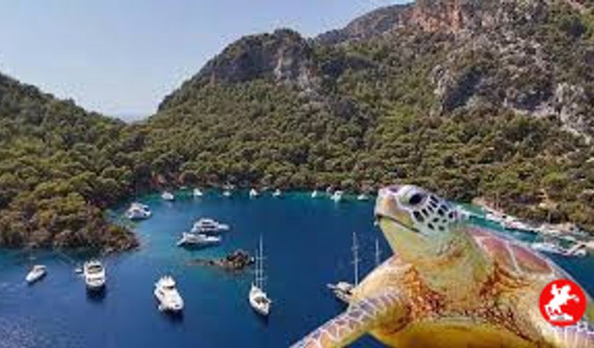 Göcek Koylarında Müzik Yasaklandı! Sessizlikle Gelen Yeni Dönem Tepki Topladı