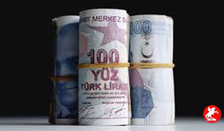 1 milyon TL'nin 32 günlük getirisi değişti