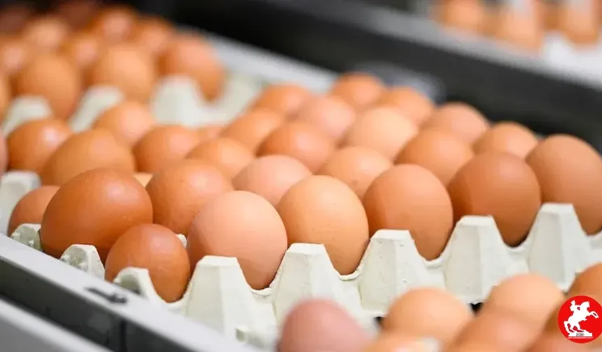 Marketlerde kahverengi yumurta satışı yasaklanıyor