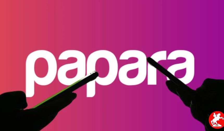 Papara Şirketi Ne İş Yapıyor? Papara Şirketine Ne Oldu?