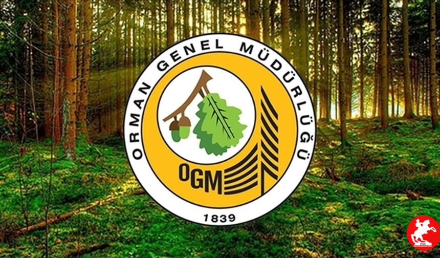 Orman Genel Müdürlüğü (OGM) işçi başvurusu tarihleri, şartları nelerdir?
