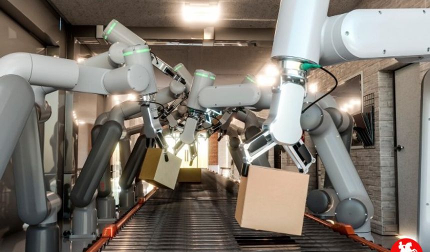 ZE-NO Robotlu Paletleme Sistemleriyle Üretimde Verimlilik Nasıl Artar?