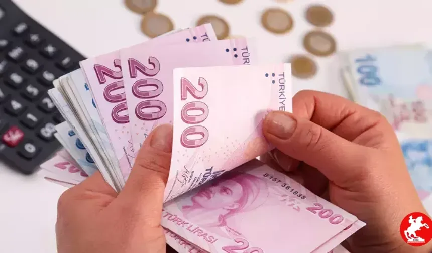 Türkiye'deki Asgari Ücretin Gerçek Yeri Şaşırttı! Dünya Sıralamasında Kaçıncıyız?