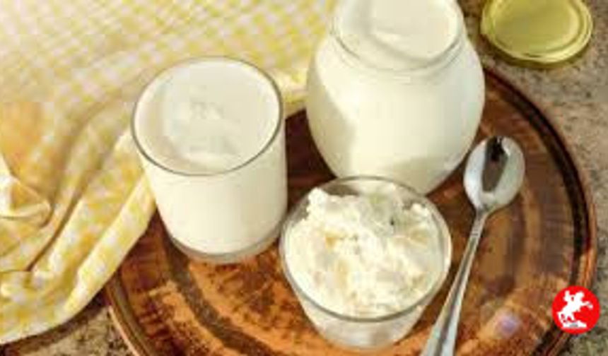 Her Gün Kefir İçmelisiniz? Neden mi? İşte Cevaplar!