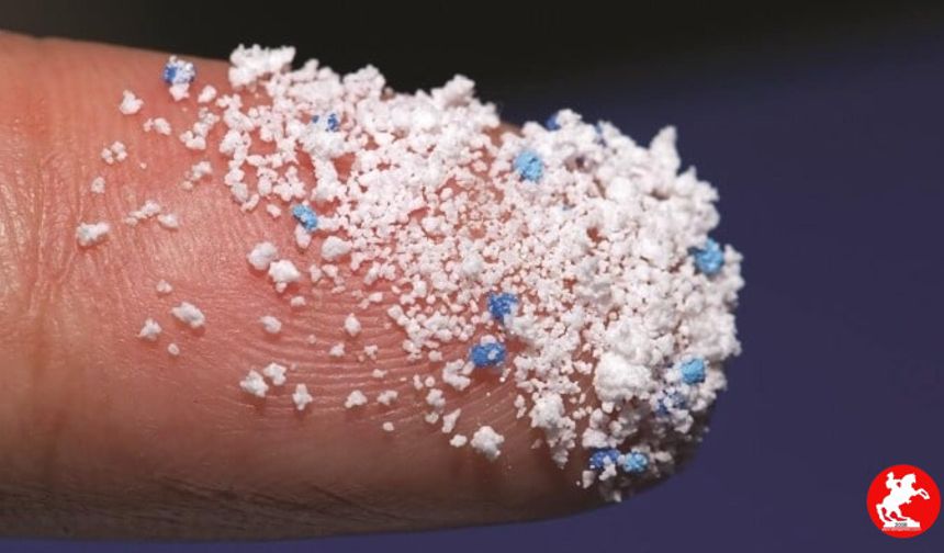 Şok Gerçek Ortaya Çıktı! Mikroplastikler Sadece Mideye Değil Beyne de Gidiyor