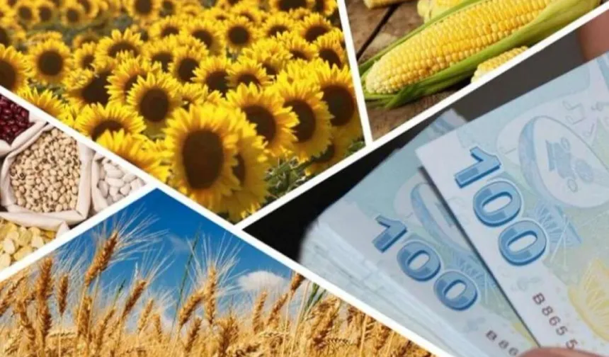 Çiftçilere 1,7 milyar TL’lik destek ödemesi hesaplarda