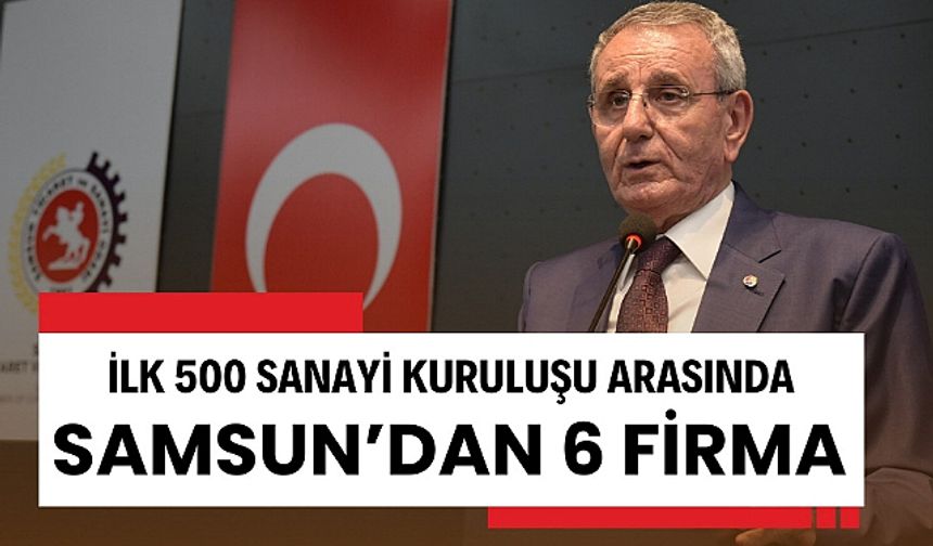 Türkiye’de İlk 500 İçinde Yer Alan Samsun Firmaları