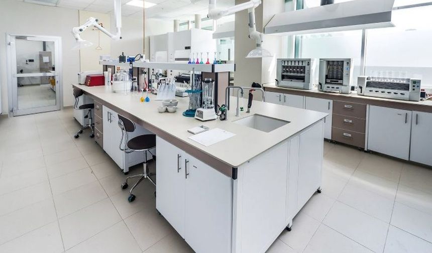 İşte Laboratuvarda Gerçek İnsan Derisi Modeli! Tıp Dünyasında Çığır Açan Gelişim