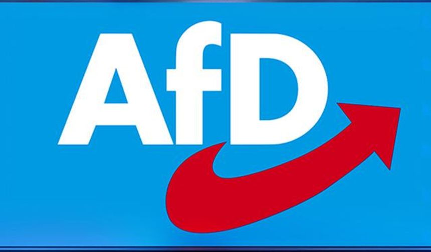 Almanya'da Aşırı Sağcı AFD Partisini Yakından Tanıyalım