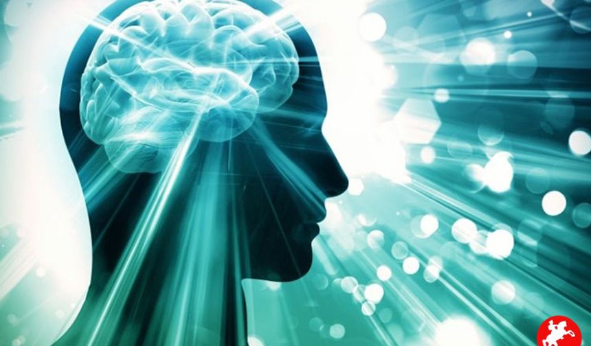 Türkiye’nin Zekâ Haritası Açıklandı: İlk Sıradaki İl Herkesi Şaşırttı