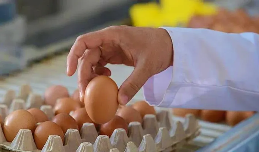 Kadınlar Erkeklerden Neden Daha Uzun Yaşıyor? Bilim İnsanları Sonuçları Açıkladı!