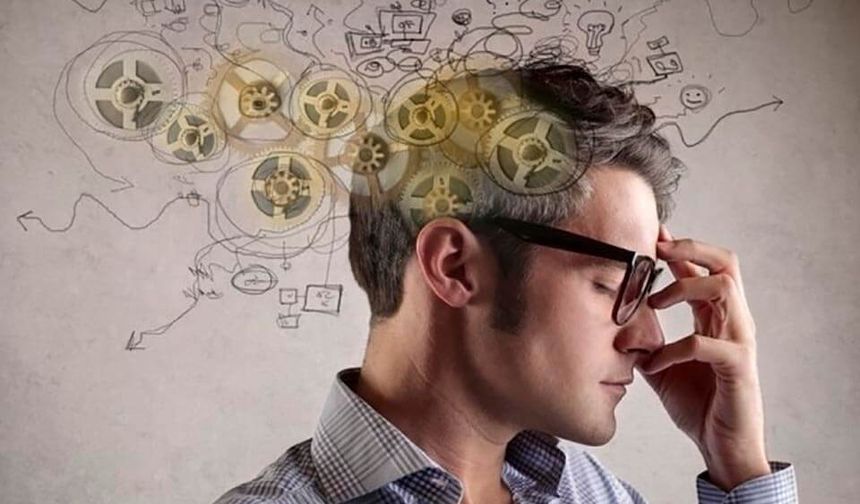 Sıra Bize mi Geliyor? Bilim İnsanları Farelerin Zihinlerini Okuyabildiklerini Söylüyor!