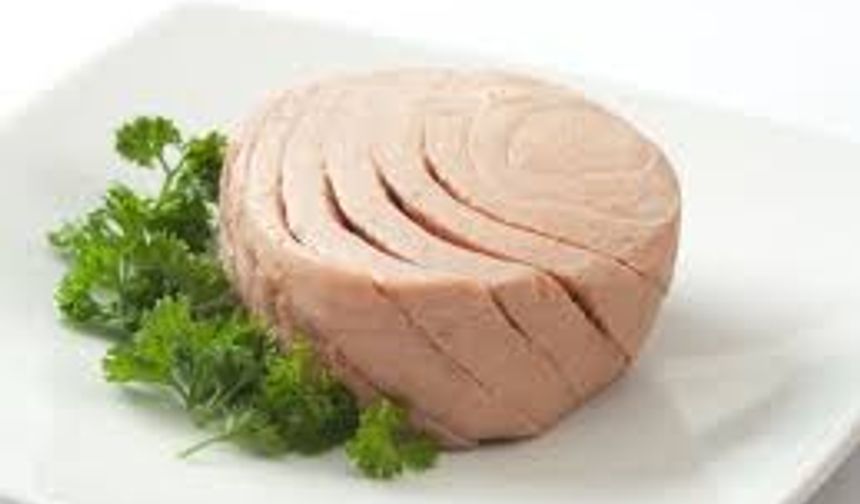 Ton Balığı Neden Bu Kadar Seviliyor? Sağlıklı Beslenmenin Lezzetli Yüzü