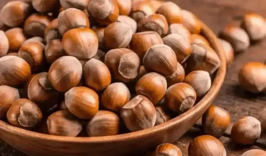 9 Şubat 2026 Güncel Fındık Fiyatları Listesi: İl ve İlçe Bazlı Tam Liste