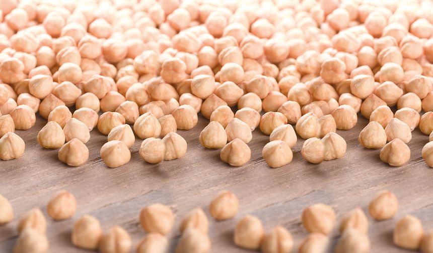 10 Şubat Sakarya İç Fındık ve Canlı Hayvan Fiyatları