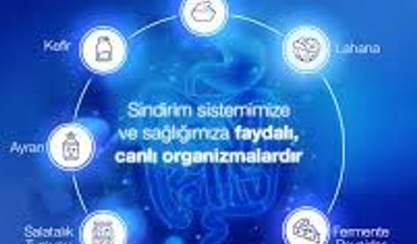 Bağırsak Sağlığının Gizli Kahramanı: Probiyotikler
