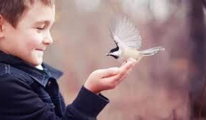 Kendine Şefkat Geliştirmenin Psikolojik Faydaları