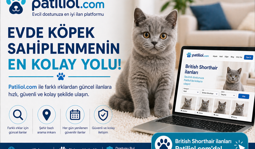 Evcil Hayvan Sahiplenmek İsteyenler Online İlan Platformlarına Yöneliyor