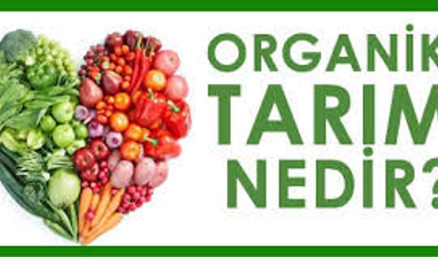 Organik Tarım Nedir? Küçük Ölçekli Başlangıç İpuçları