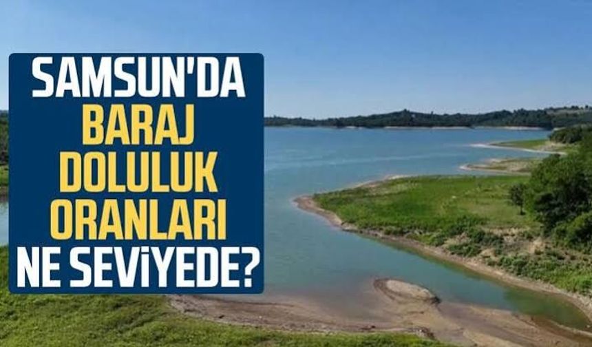 Samsun Baraj Doluluk Oranları Ne Kadar? Güncel Doluluk Seviyesi