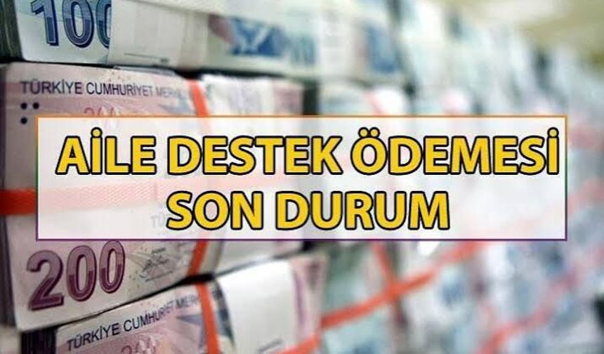 Aile Destek Ödemesi Sorgulama Nasıl Yapılır? Güncel Sorgulama Ekranı